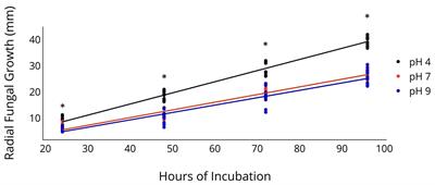 Oxalic Acid Production in Clarireedia jacksonii Is Dictated by pH, Host Tissue, and Xylan